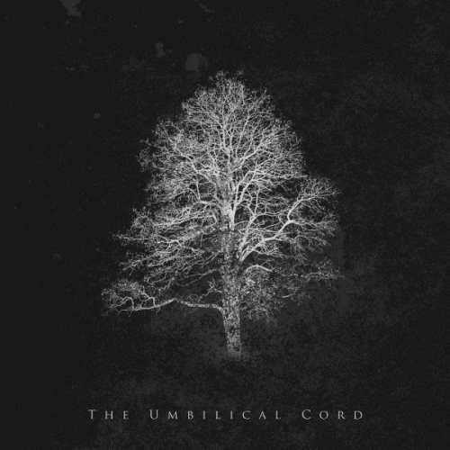 Orbit Culture : The Umbilical Cord